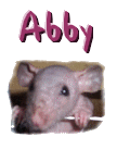 Abby