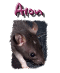 Aron