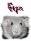 Eryx
