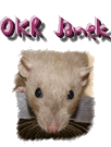 Janek