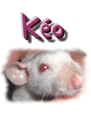 Ko