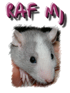 MJ