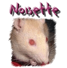 Noisette