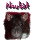 Noubat