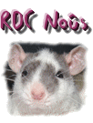 Nos