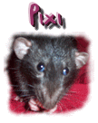 Pixi