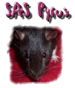 Pyrus