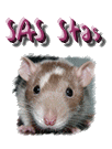 Stas