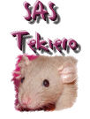 Tekiero